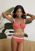b2.transy1.shop