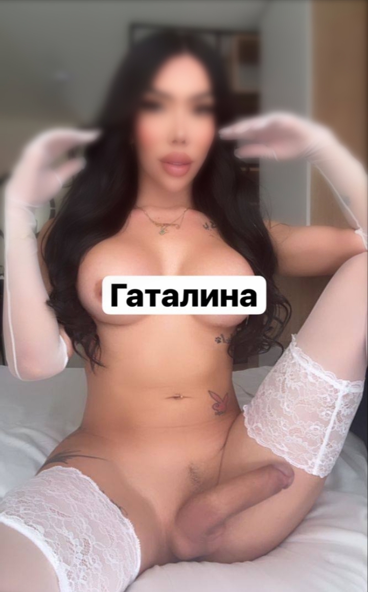 ���� ������������� �������� �� ������ ������