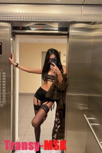 ���� ������������� ��������� �� ������ ������